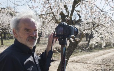 opening of “Sakura – A Look here in the Middle”