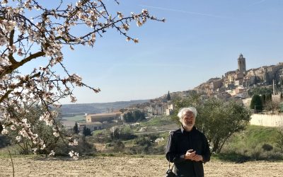 A walk through a field of flowering almond trees starts the cycle 